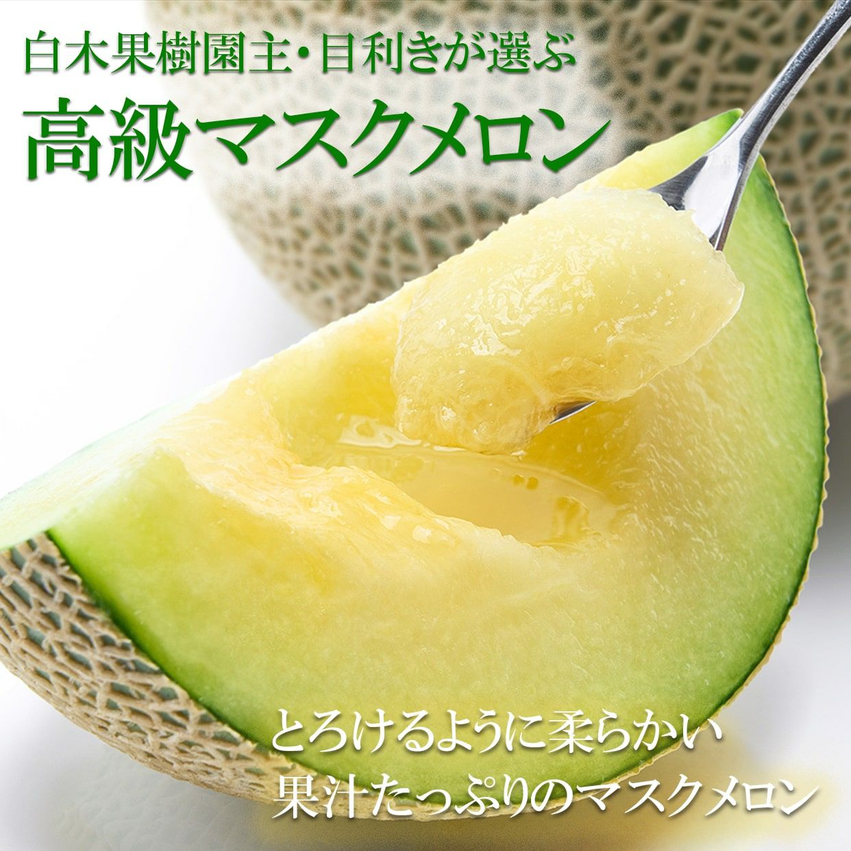マスクメロン 1玉入 約1.3kg 5月8日頃より順次発送: とさのさと