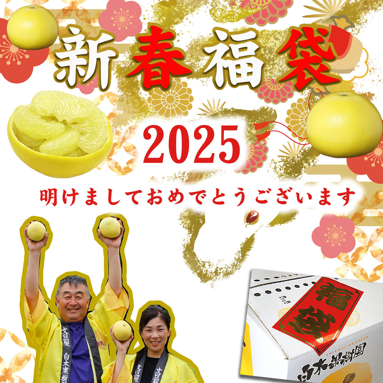 2025年新春福袋