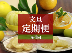 送料込】厳選夏ぶんたん化粧箱入り | 白木果樹園