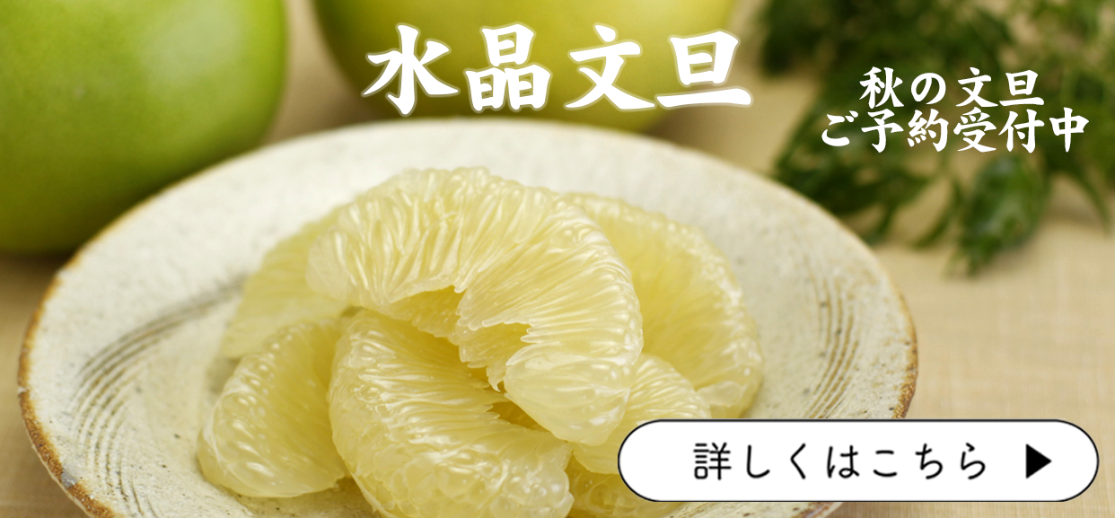水晶文旦　秋のぶんたん
