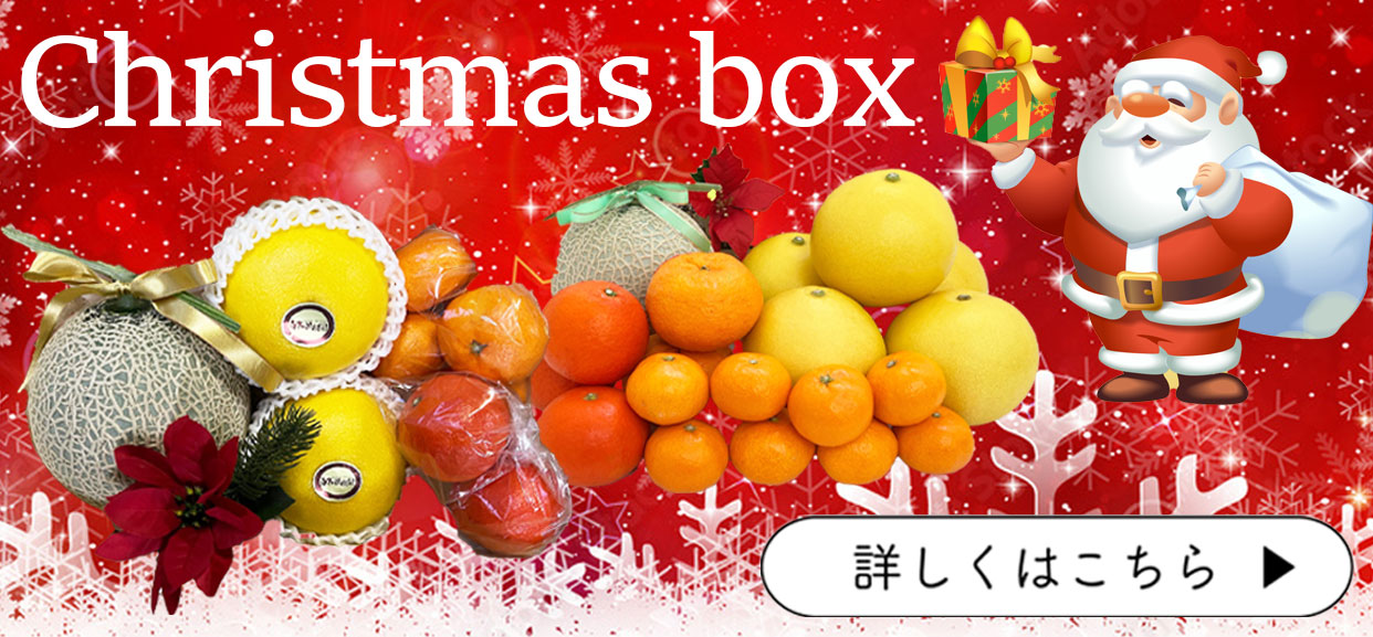 クリスマス　フルーツセット