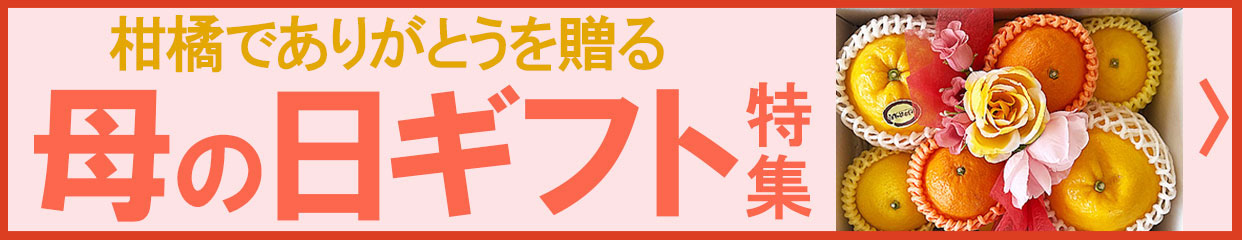 母の日　ギフト　贈り物　柑橘　セット