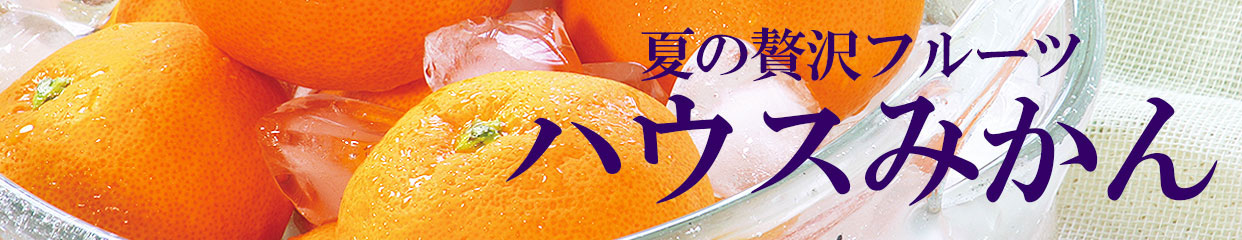 ハウスみかん　お中元　夏ギフト　贈答