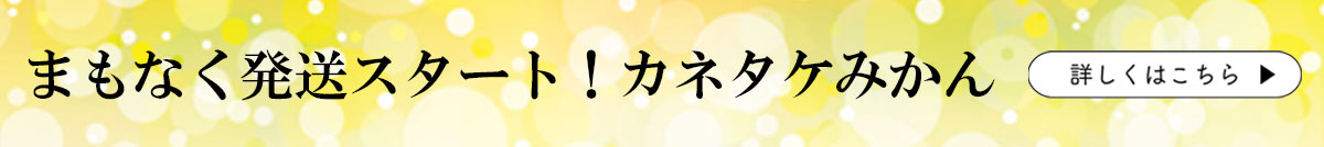 ハウスみかん　お中元　夏ギフト　贈答