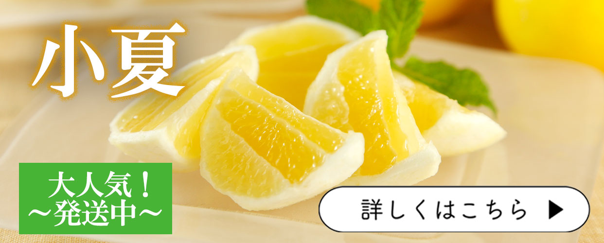 小夏　こなつ　日向夏