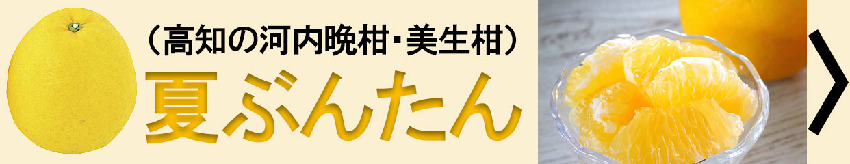 夏ぶんた