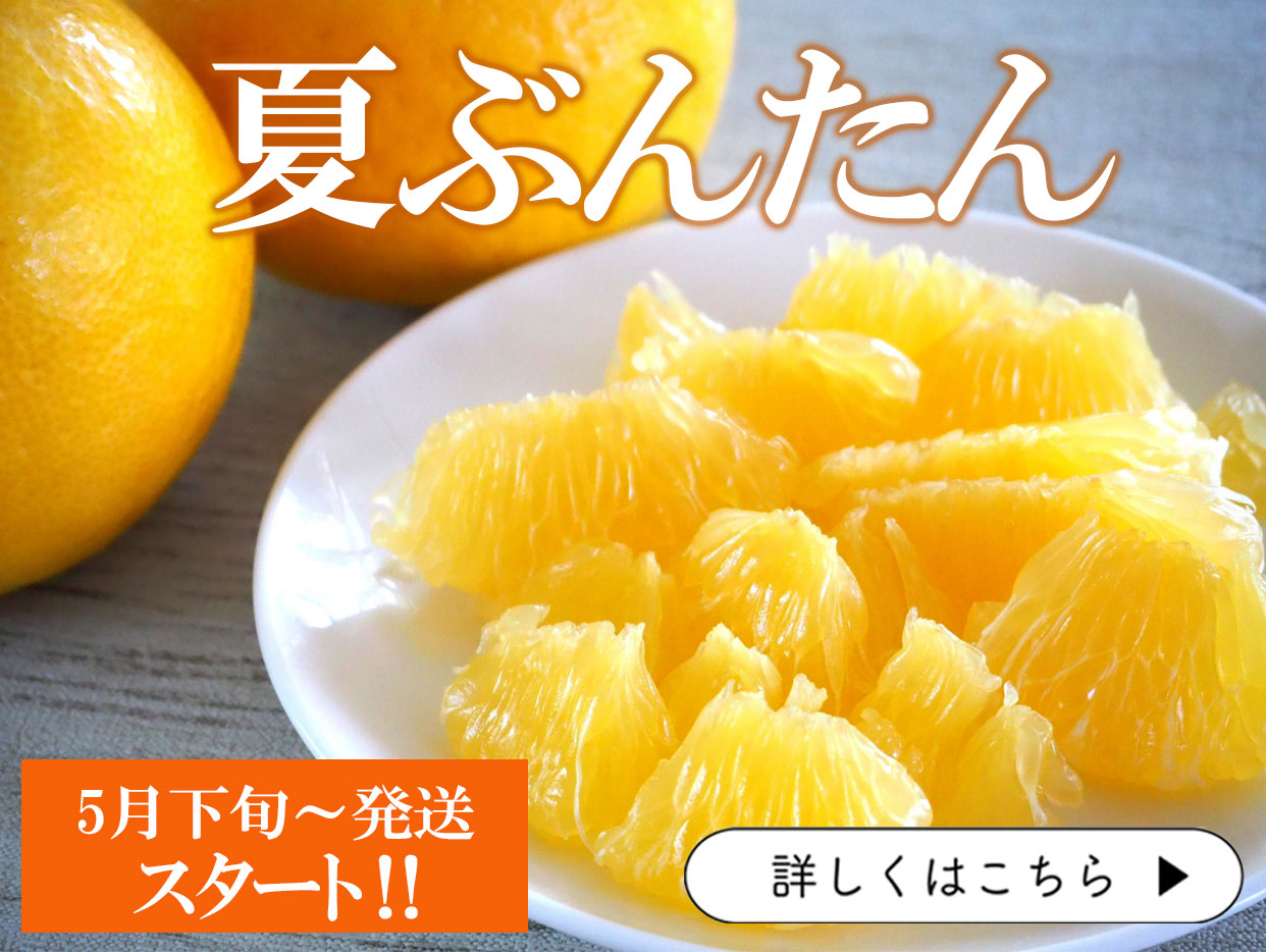 文旦屋・白木果樹園】今が旬の文旦・果物の直送通販<公式> 文旦屋・白木果樹園】今が旬の文旦・果物の直送通販<公式>