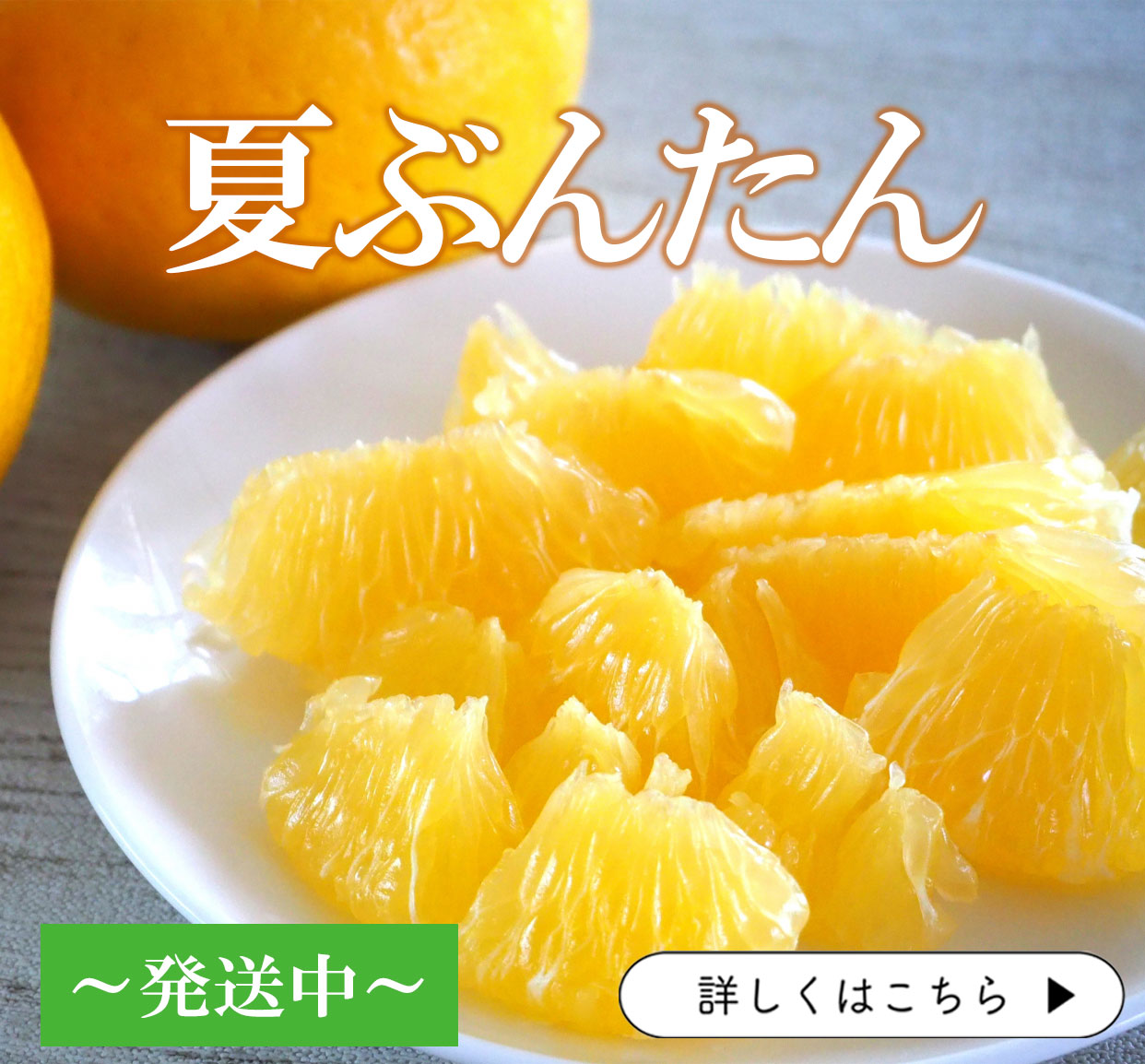 夏ぶんたん　河内晩柑　みしょうゴールド　宇和ゴールド　美生柑