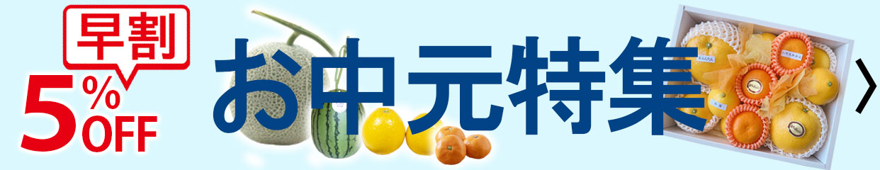お中元　夏ギフト　お供え