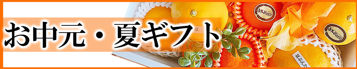 お中元　夏ギフト　お供え