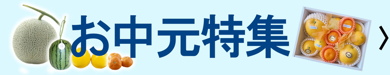 お中元　夏ギフト　お供え