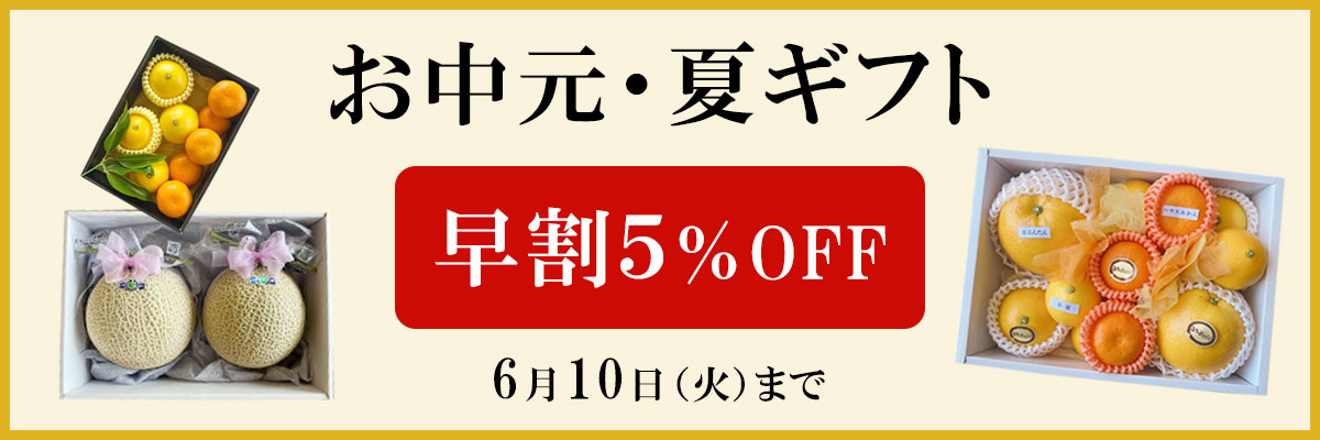 お中元　夏ギフト　お供え