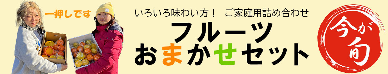 旬のフルーツおまかせセット