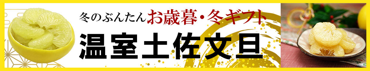 温室土佐文旦　冬のぶんたん　お歳暮　冬ギフト　年末年始　クリスマス