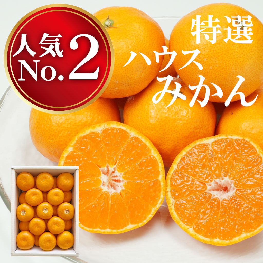 ハウスみかん