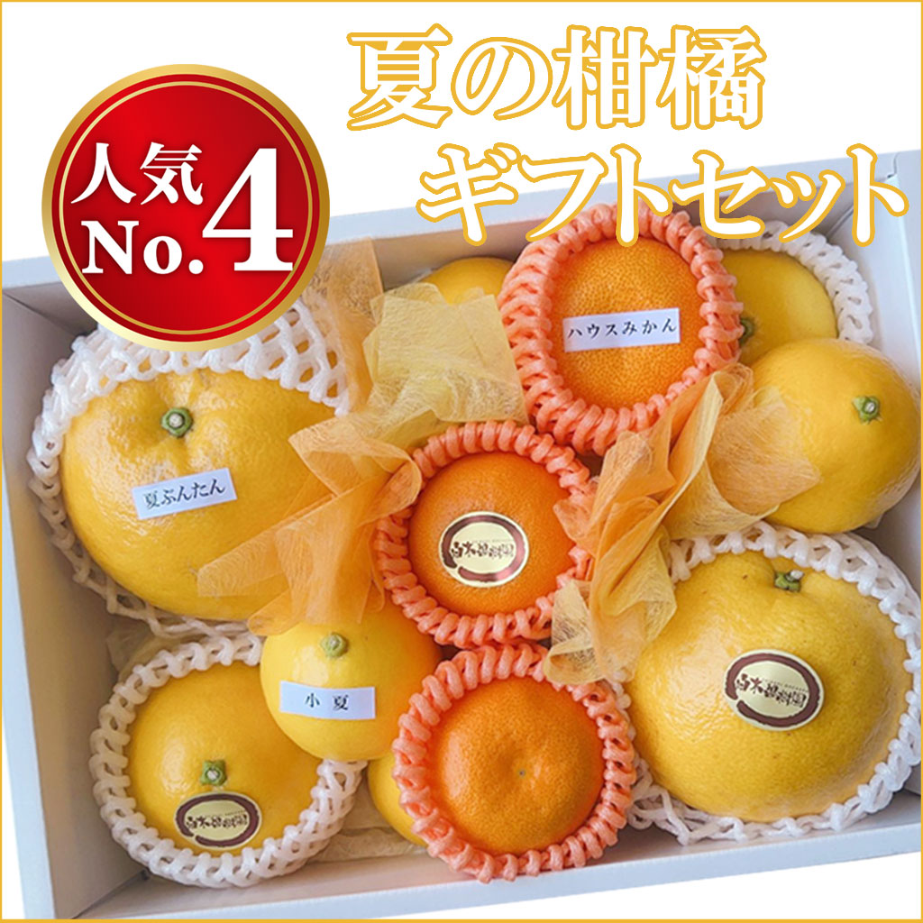 夏の柑橘ギフトセット