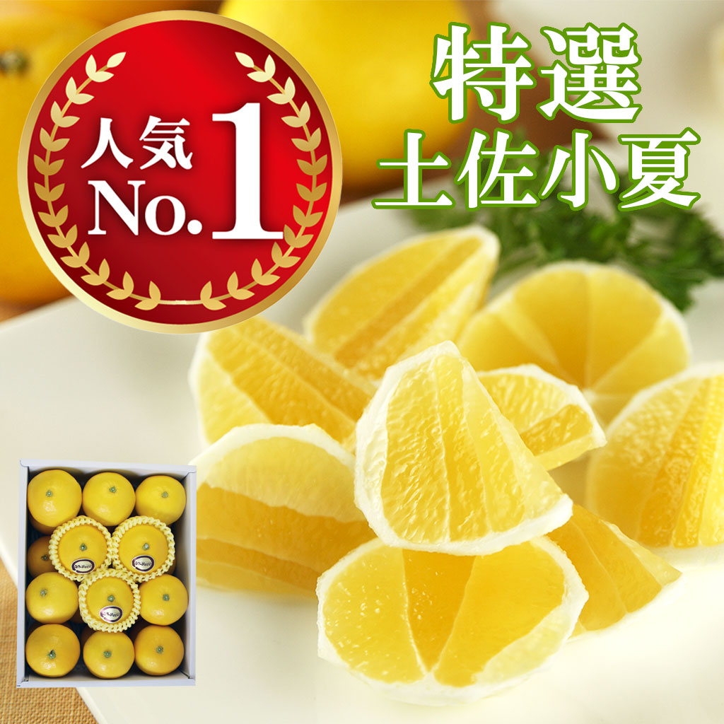 土佐小夏