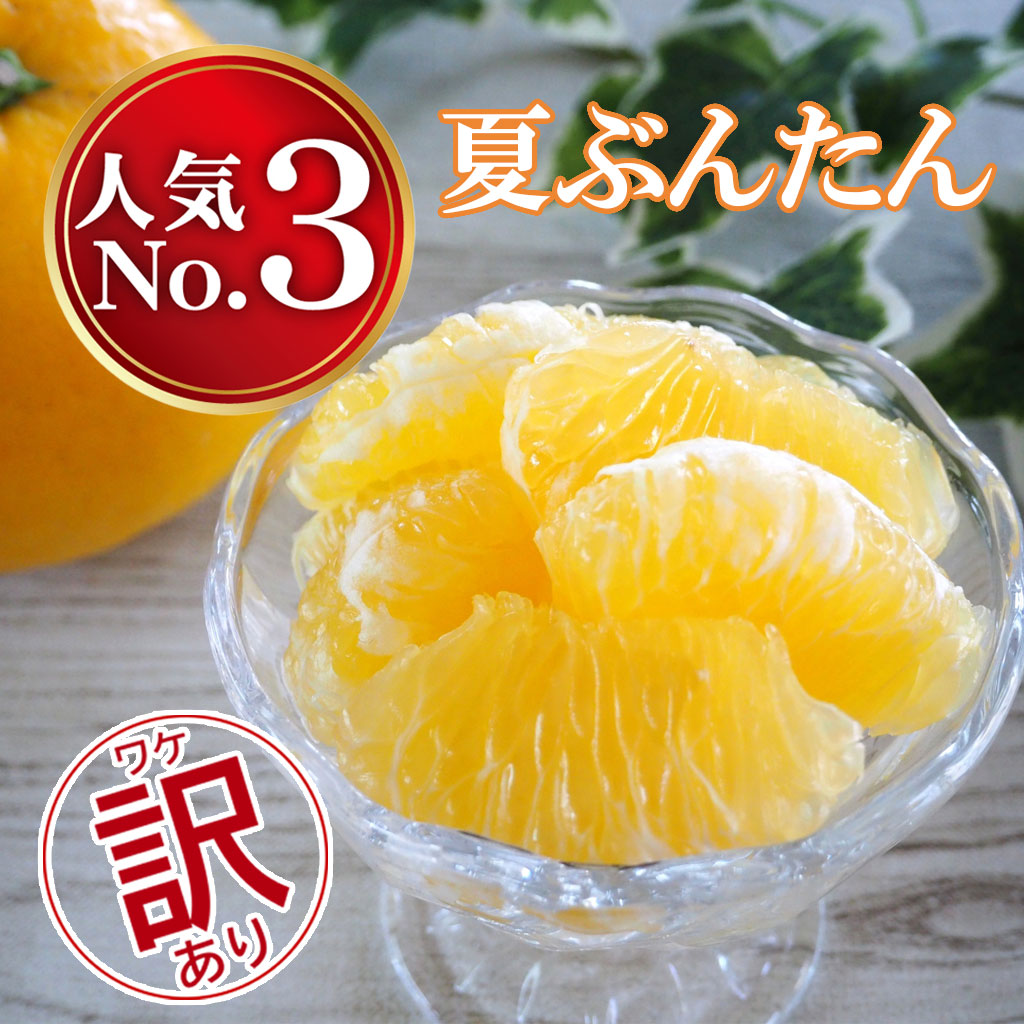 夏ぶんたん