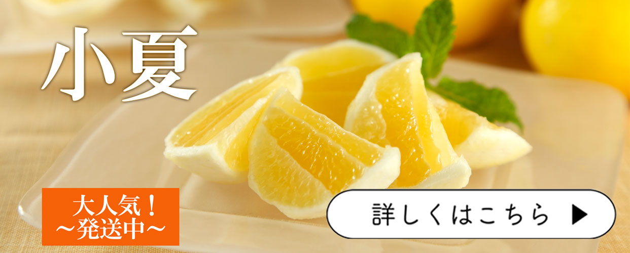 小夏　こなつ　日向夏
