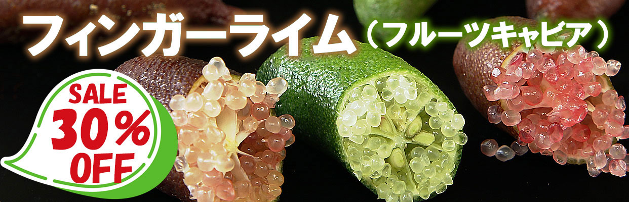 フィンガーライム30％OFF