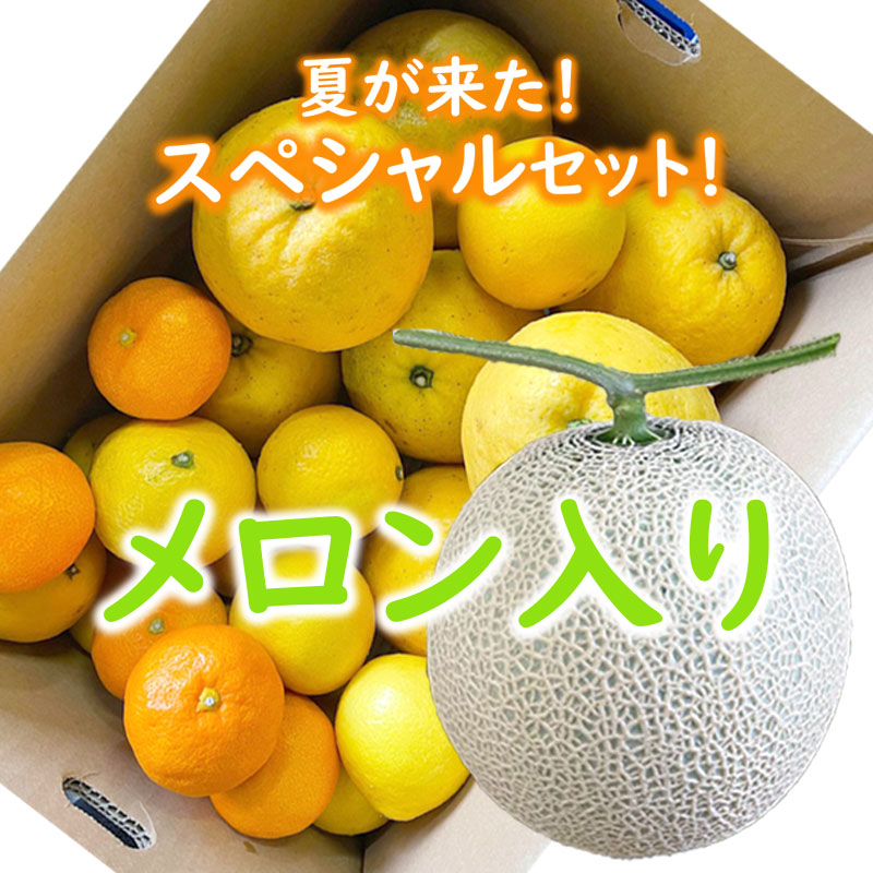 メロン入り　夏がきた！スペシャルセット