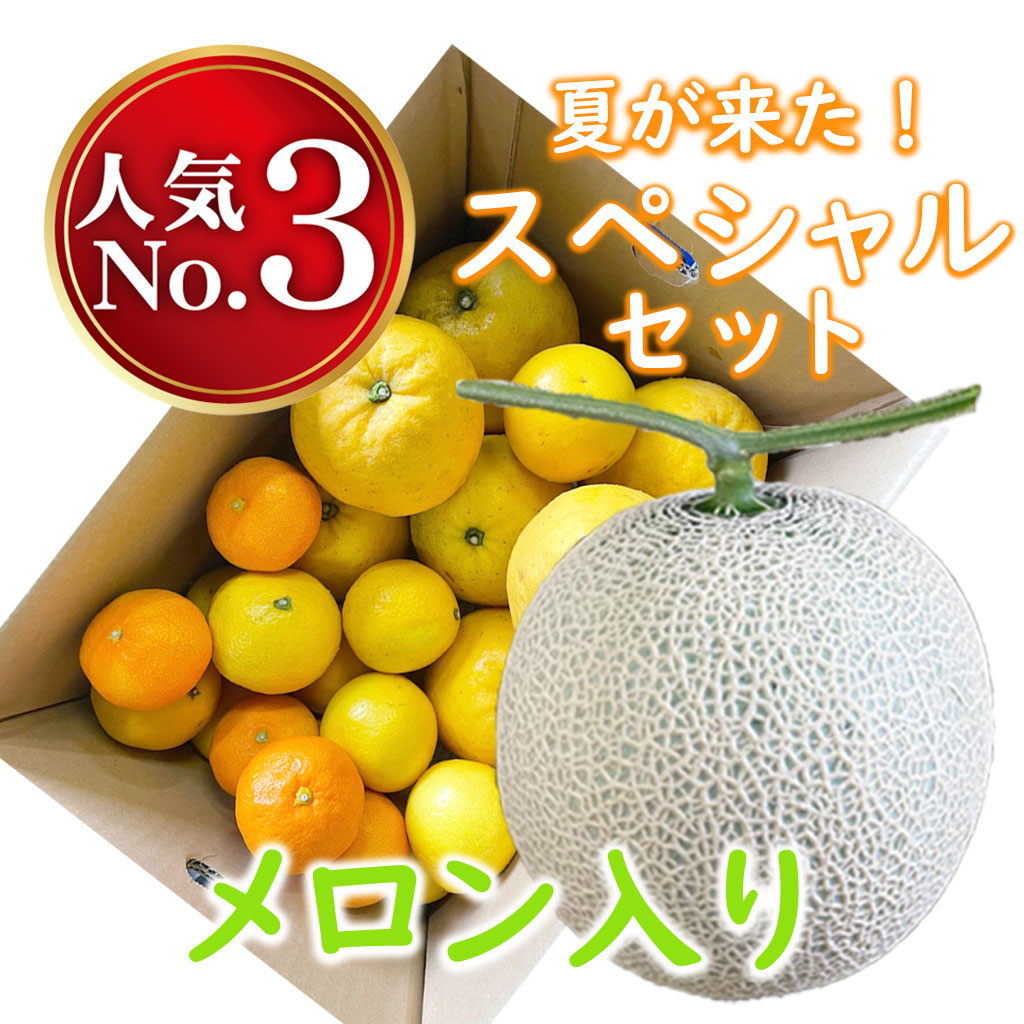 おまかせセット