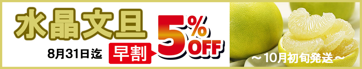 水晶文旦　秋のぶんたん　セール　早割　5％OFF