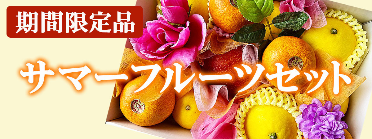 お中元　夏ギフト　お供え　マンゴー　ギフト　贈答