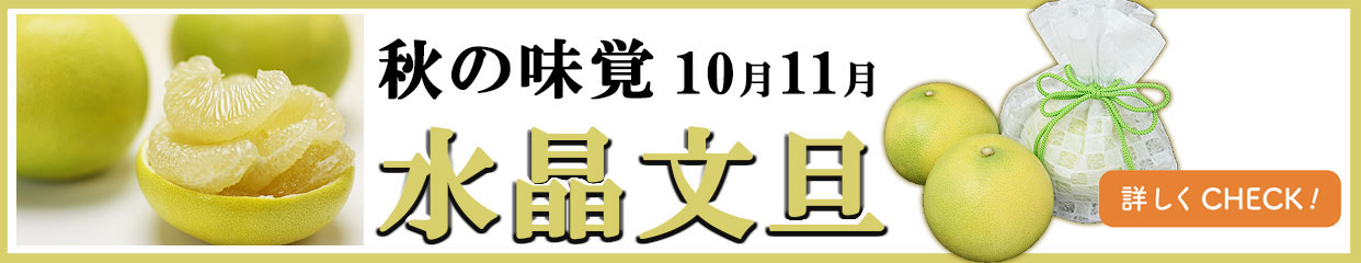 水晶文旦　秋のぶんたん
