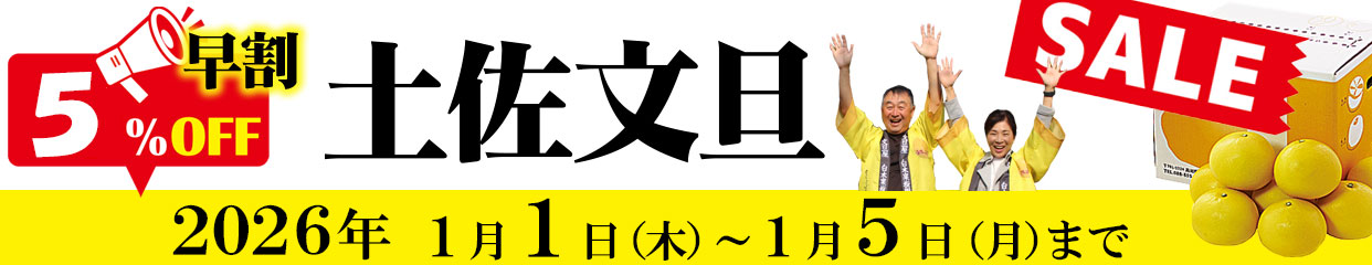 土佐文旦　早割　5％OFF　ぶんたん　分担