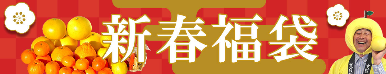 新春福袋　柑橘　冬　2026年　予約　早期
