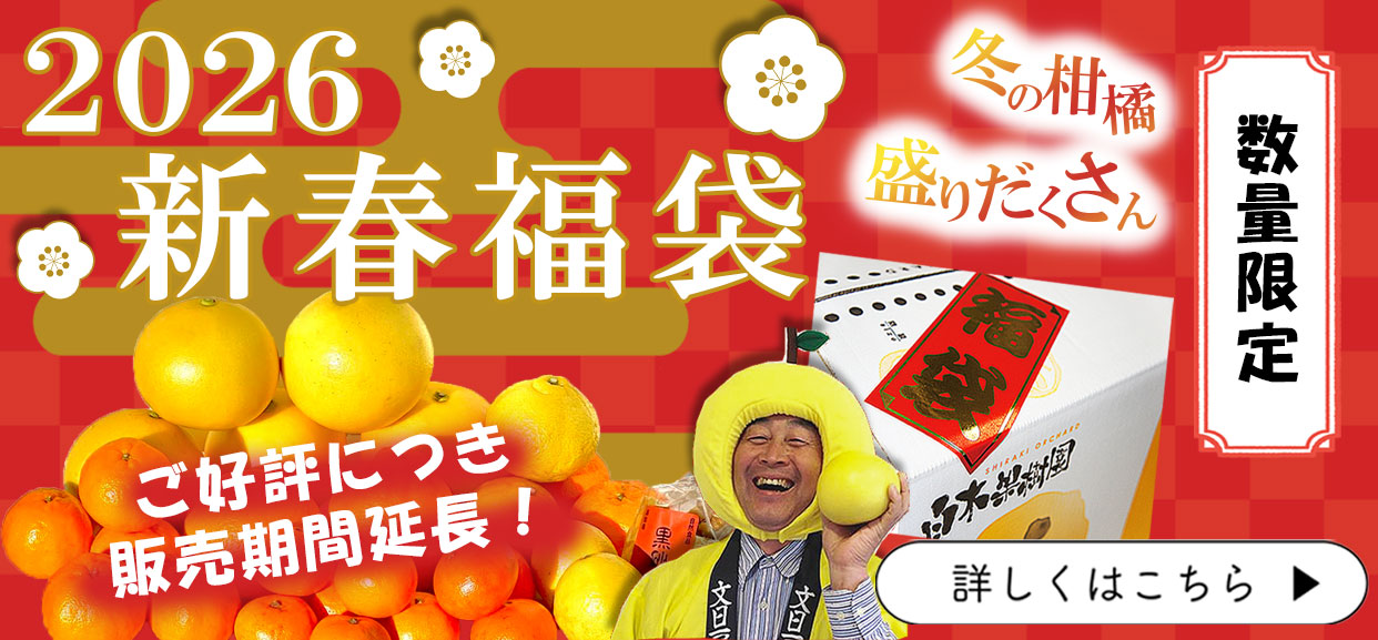 新春福袋　柑橘　冬　2026年　数量限定　延長　販売期間