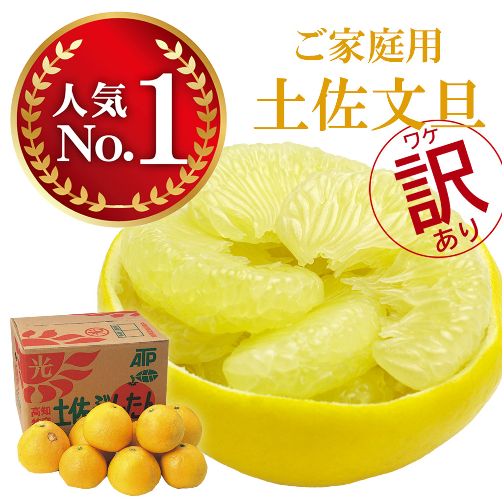 土佐文旦 訳あり 分担 10kg
