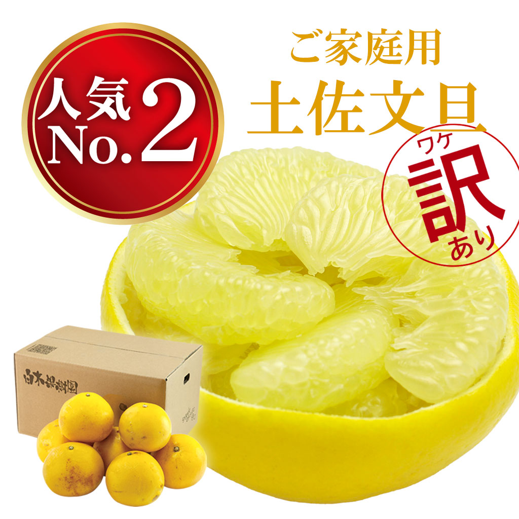 土佐文旦 家庭用 B級品 5kg