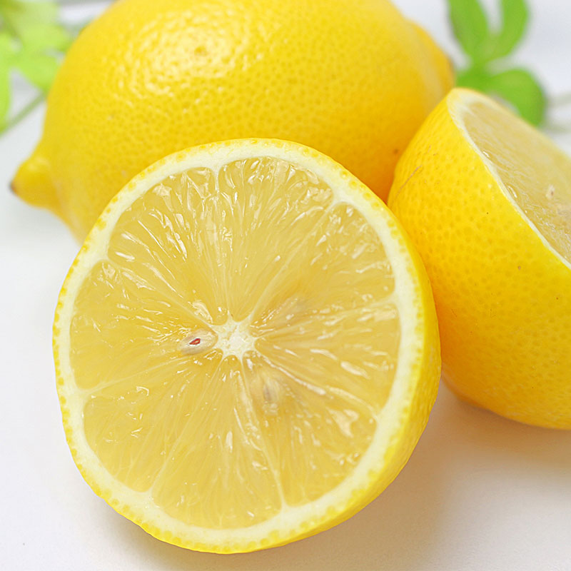 璃の香レモン、リスボンレモン、マイヤーレモン