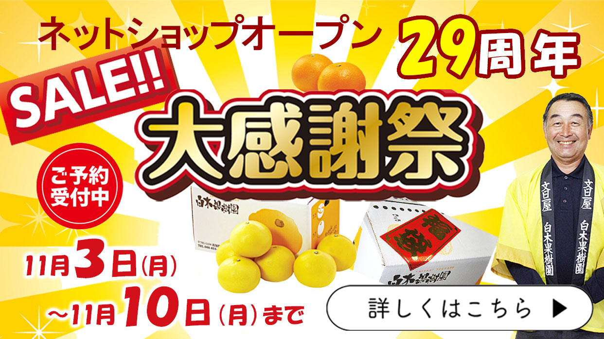 周年記念　福袋　セール　感謝祭