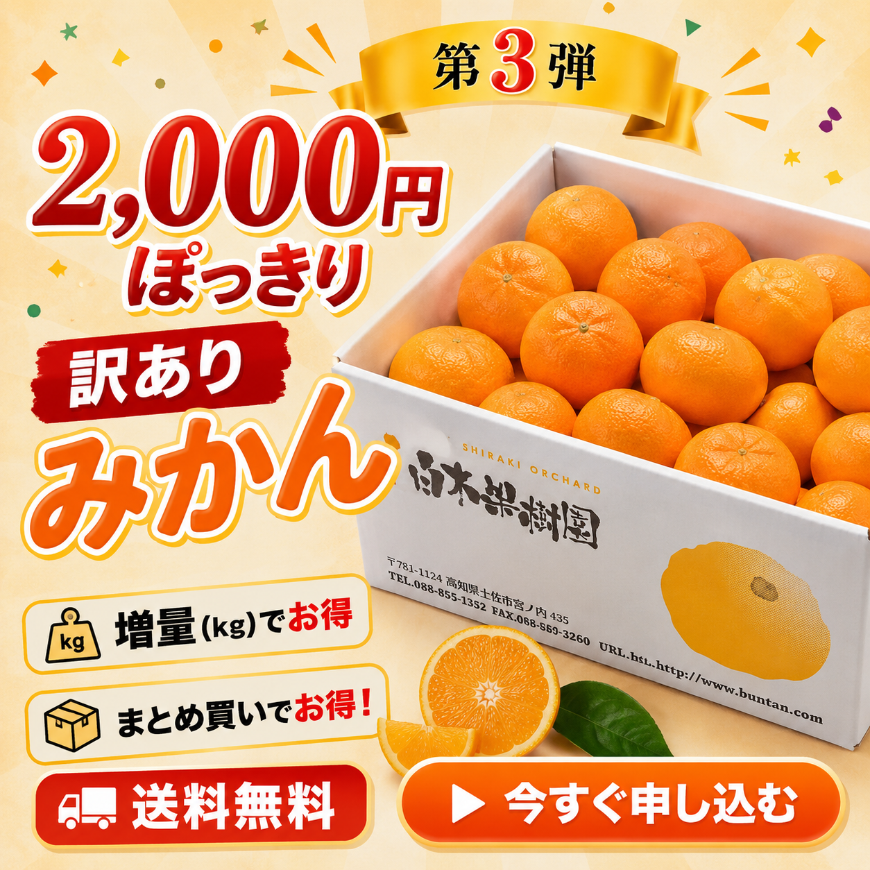 訳ありみかんぽっきり