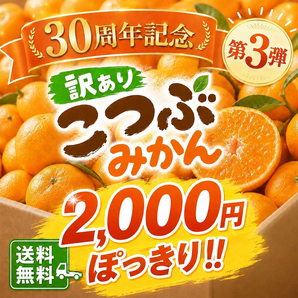 2000円ぽっきりみかん