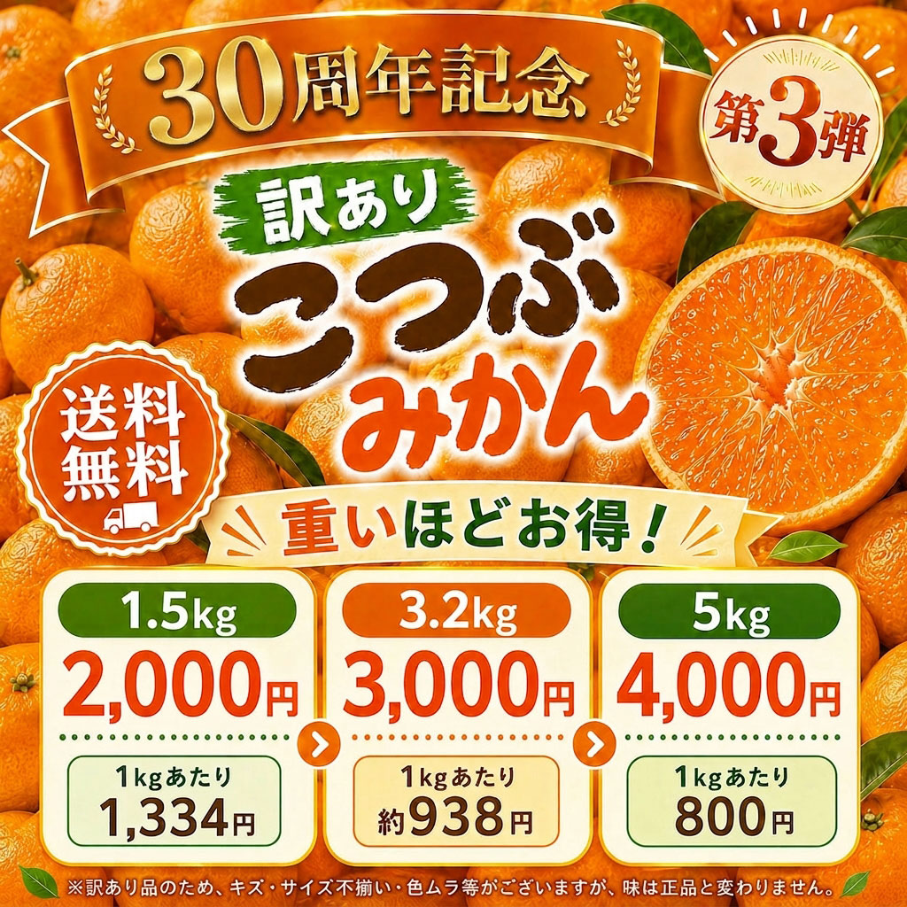 セール！こつぶみかん2000円
