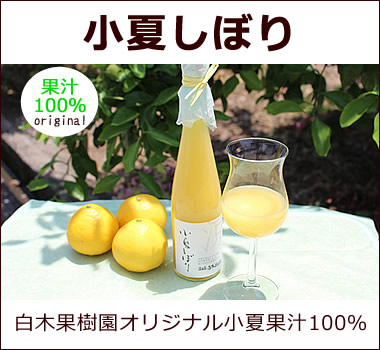 白木果樹園オリジナル。小夏果汁100％無添加ジュース。何も加えない、そのままの美味しさ【小夏しぼり】