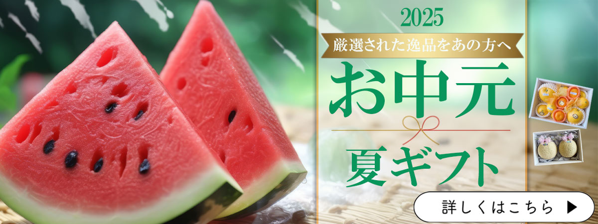 お中元　夏ギフト　お供え　マンゴー　ギフト　贈答