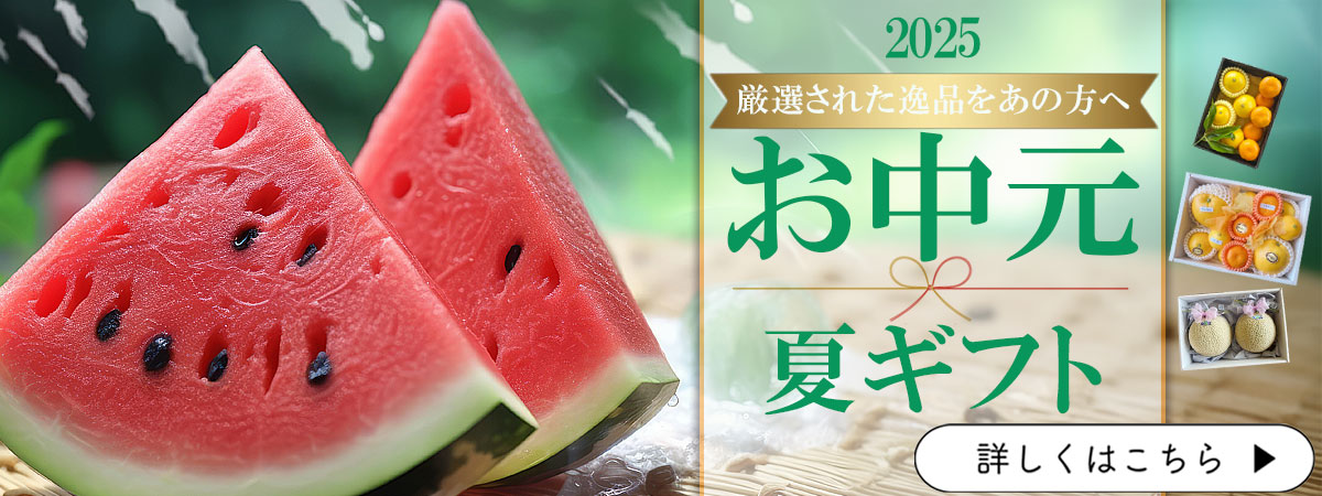 お中元　夏ギフト　お供え　マンゴー　ギフト　贈答