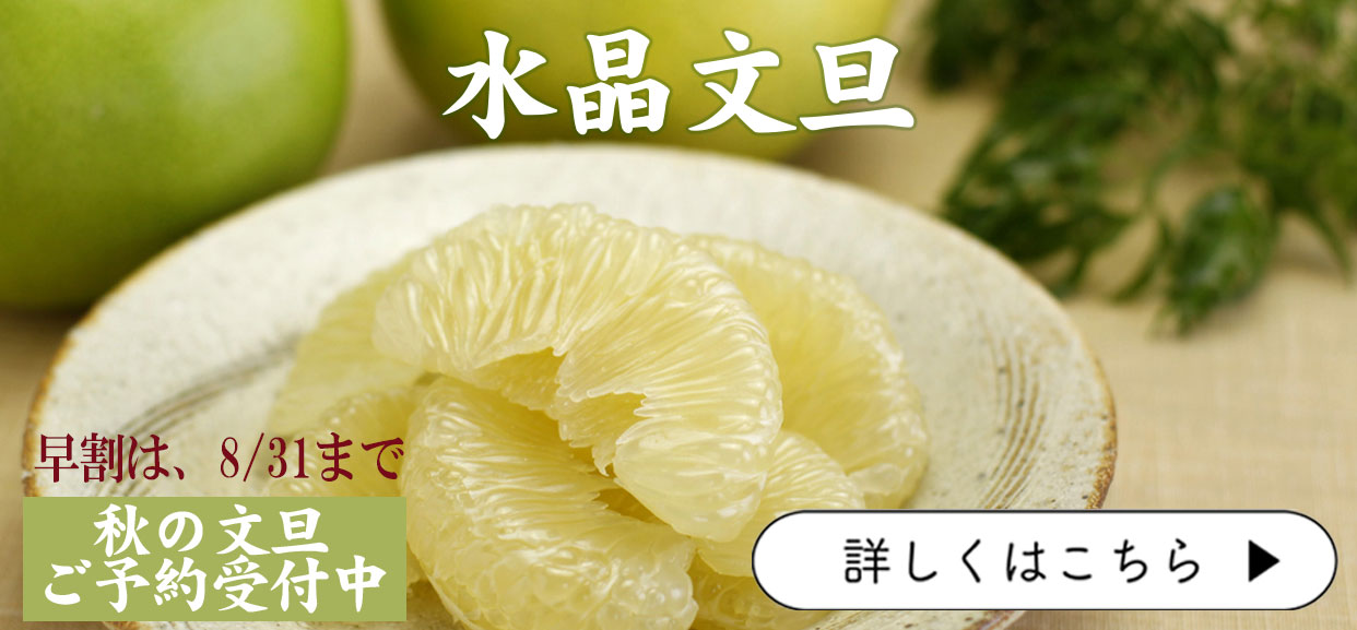 水晶文旦　秋文旦　贈答　ギフト　早割