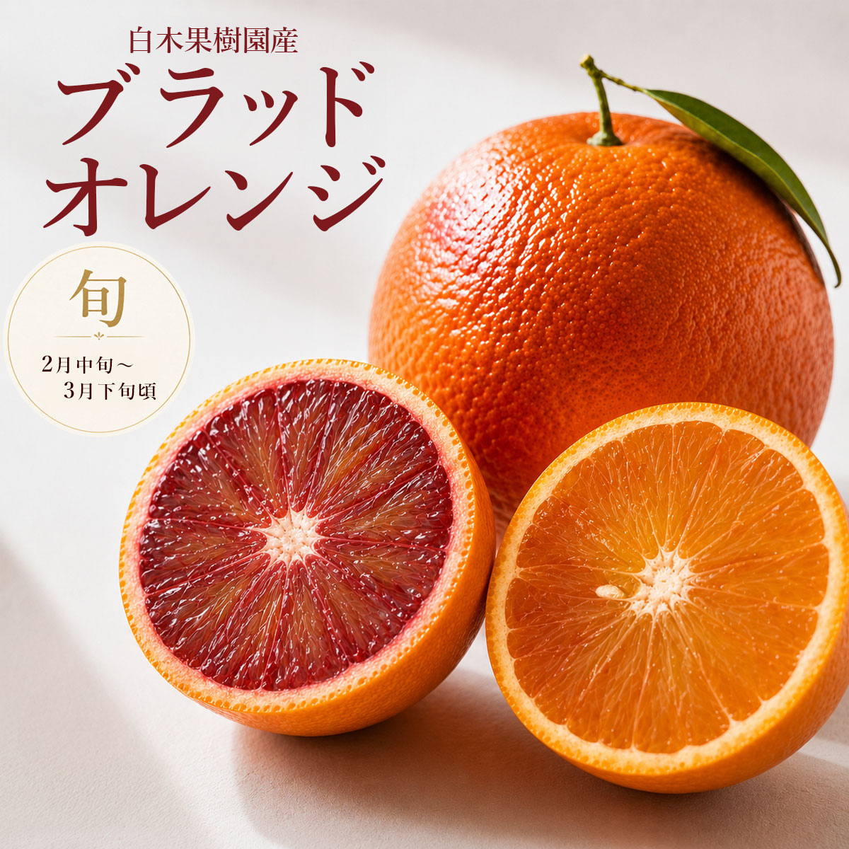 国産・白木果樹園産ブラッドオレンジ
