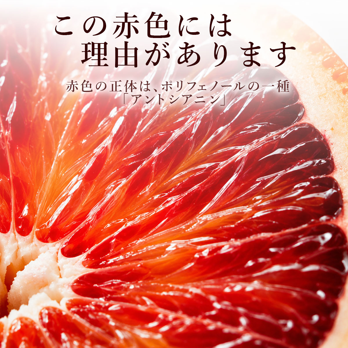 この赤色には理由があります'