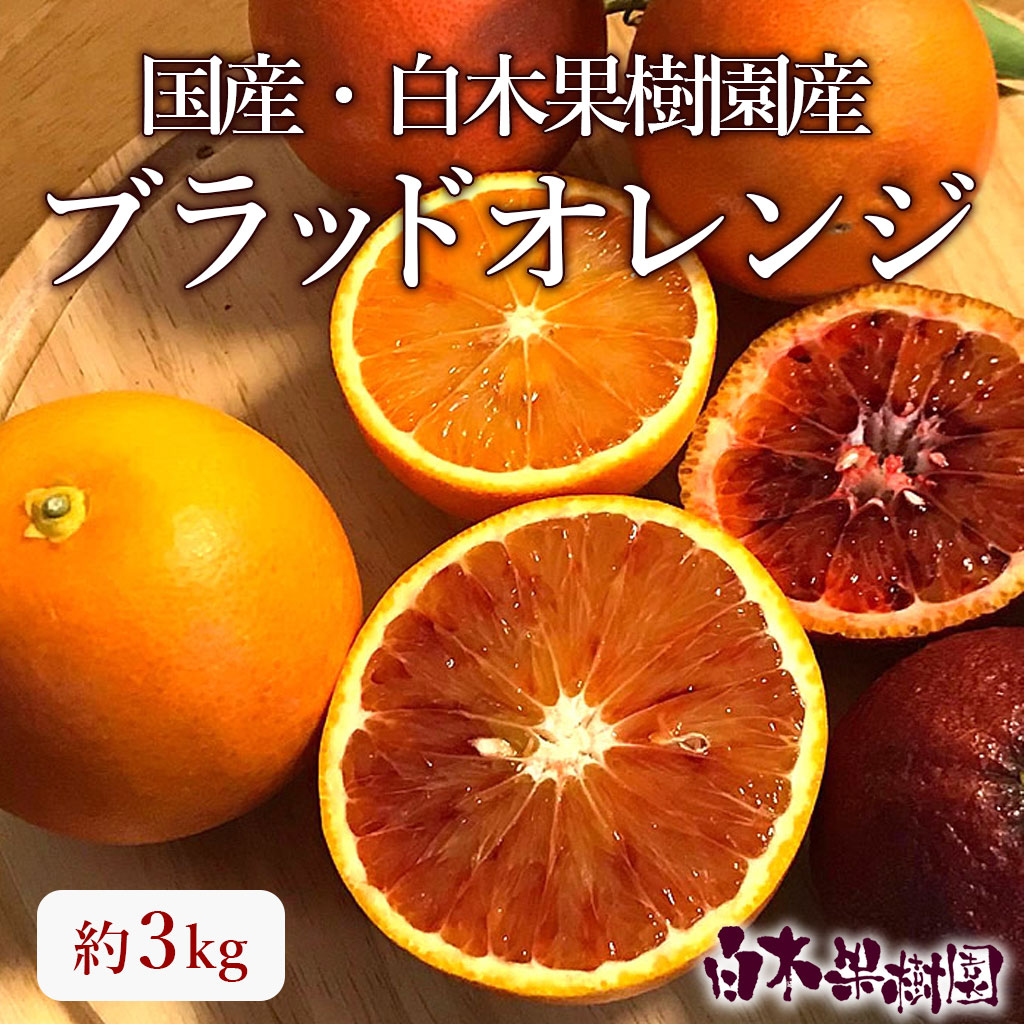 ブラッドオレンジ約3kg