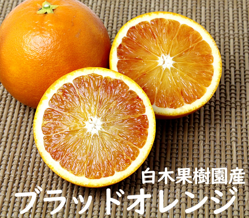 国産・白木果樹園産ブラッドオレンジ