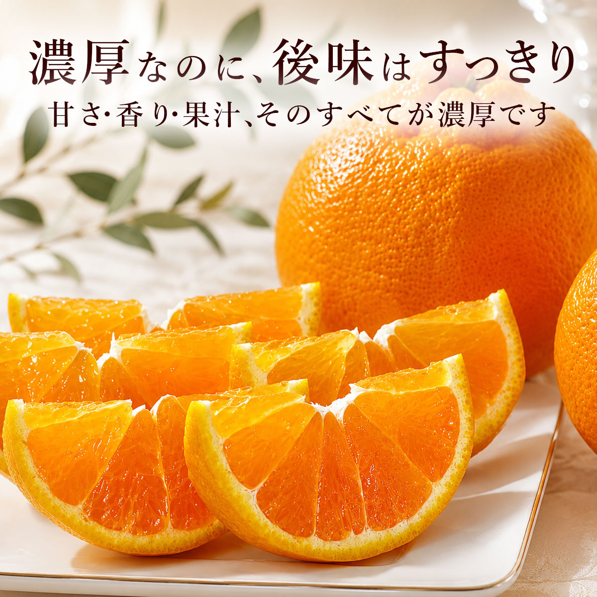 濃厚なのに、後味はすっきり