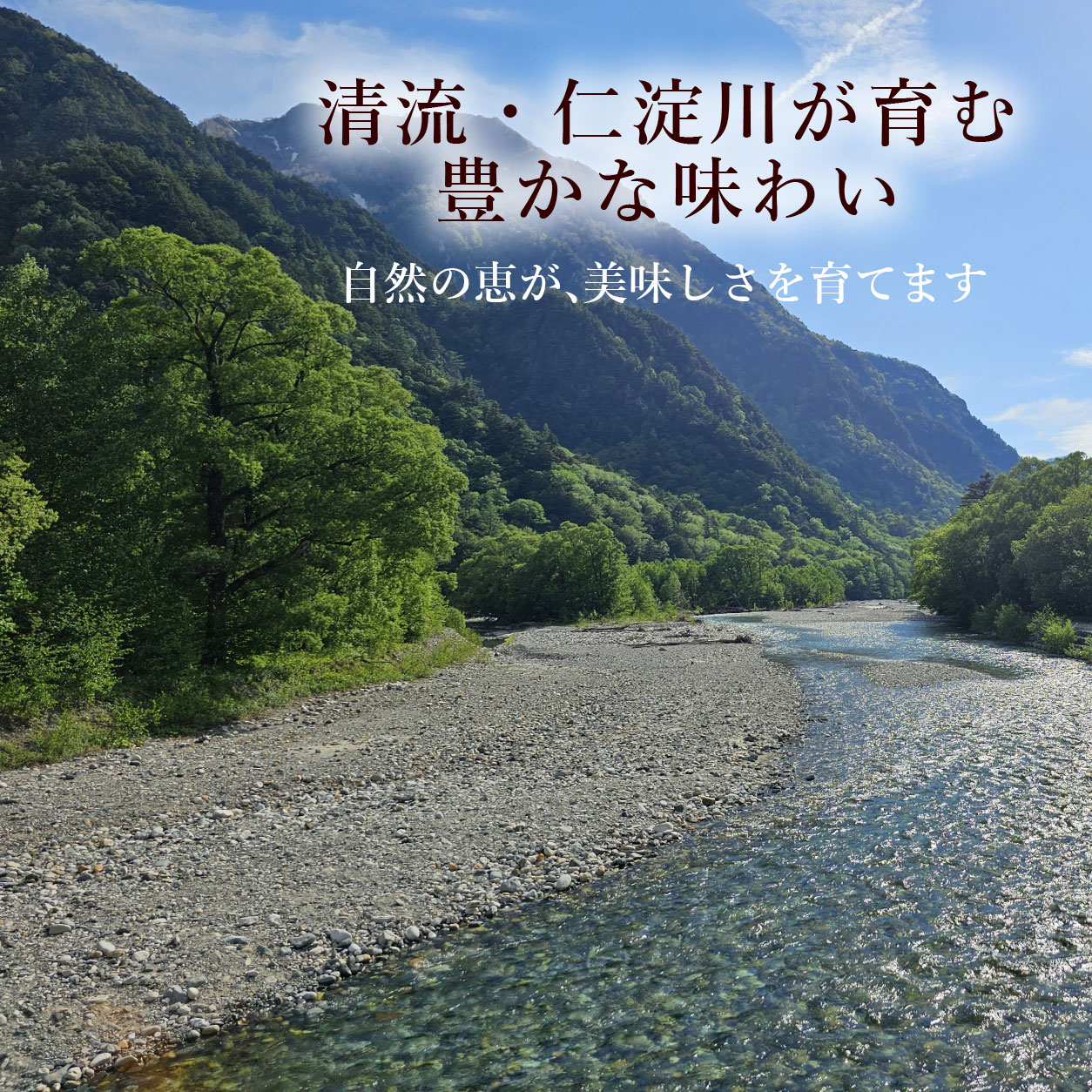 青い空と清流仁淀川