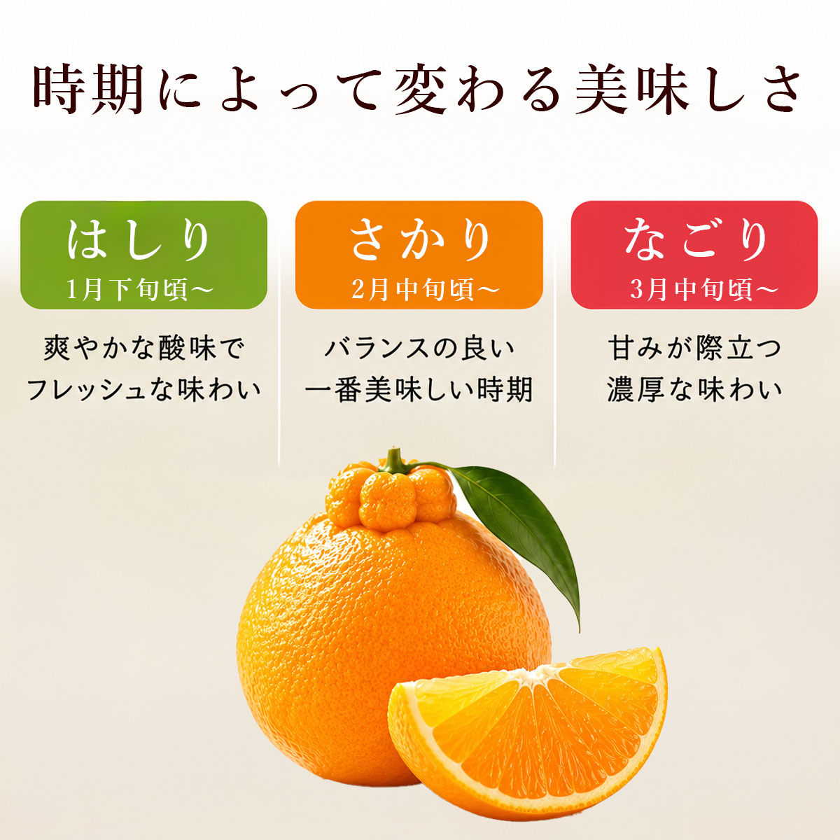 時期によって変わる美味しさ